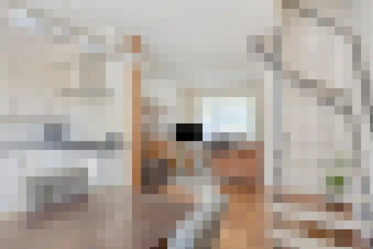 't Seuverick 65 Oisterwijk thumbnail 7