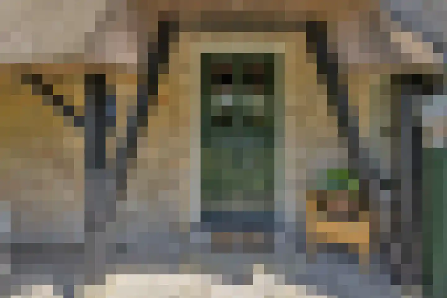 't Skoar 38 Ternaard thumbnail 10