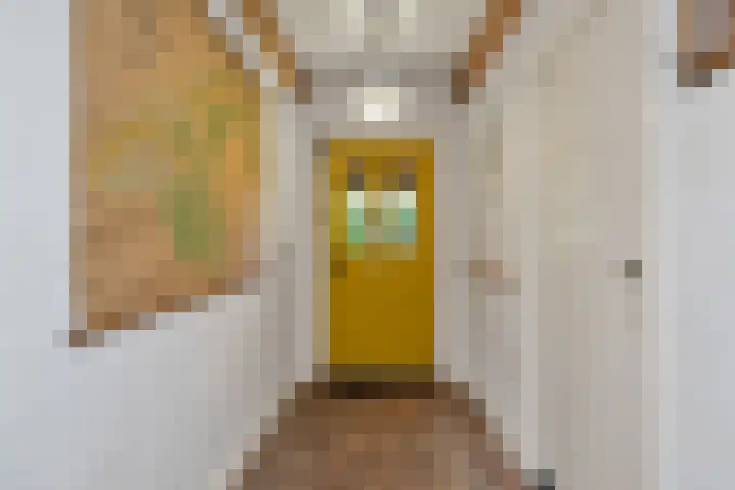 't Skoar 38 Ternaard thumbnail 11