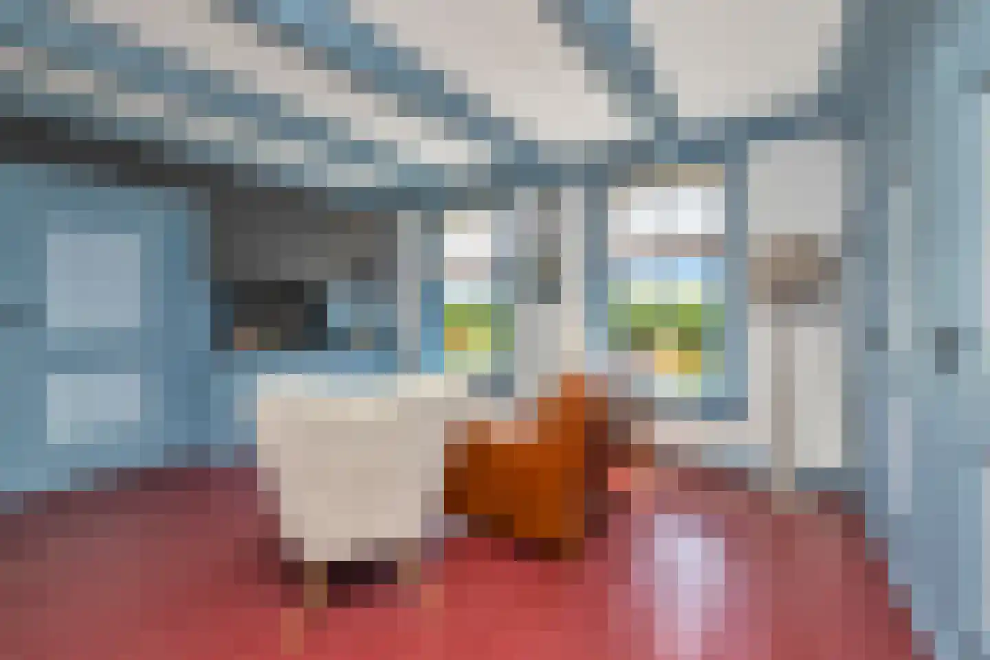 't Skoar 38 Ternaard thumbnail 19
