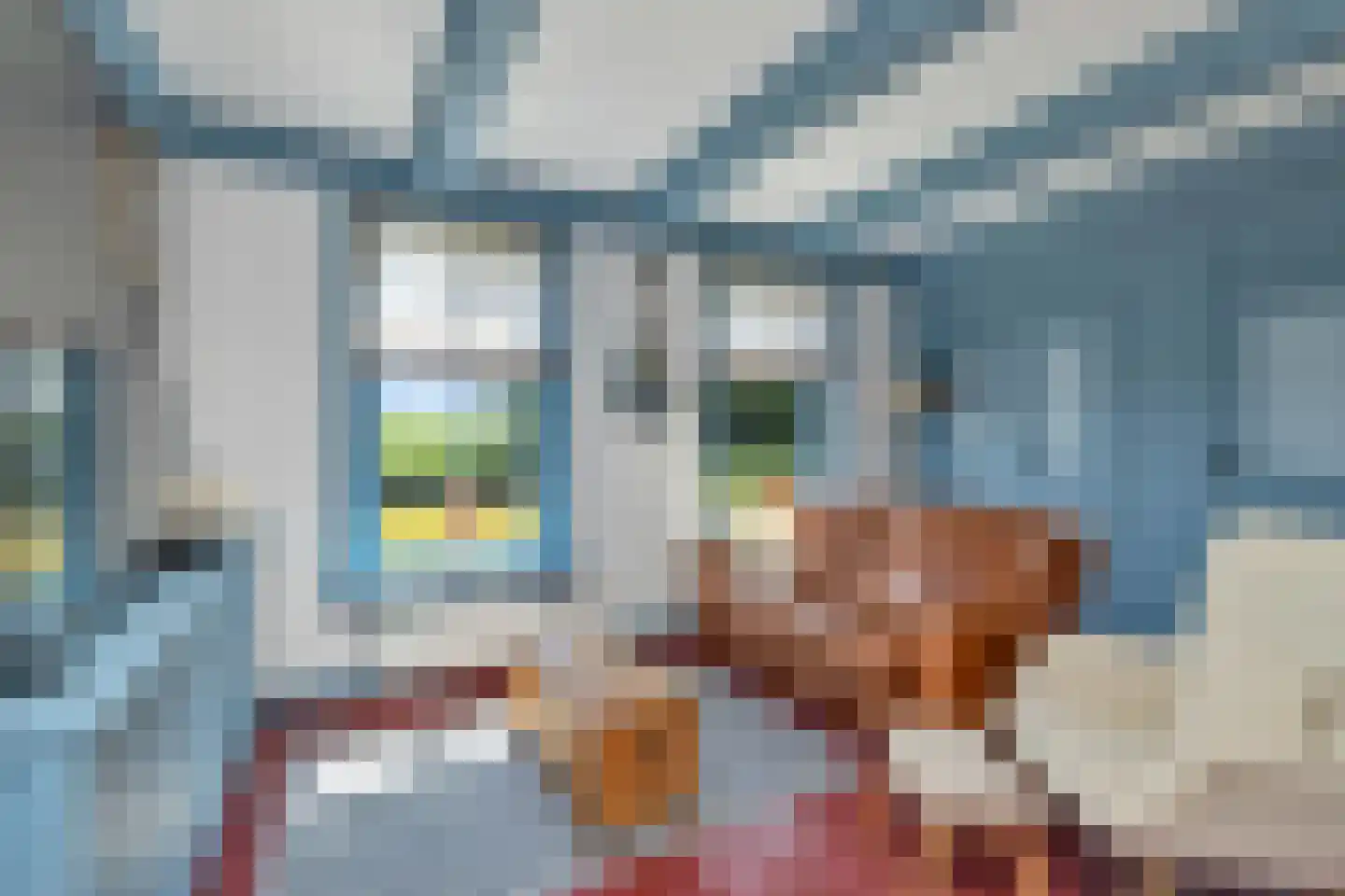 't Skoar 38 Ternaard thumbnail 21