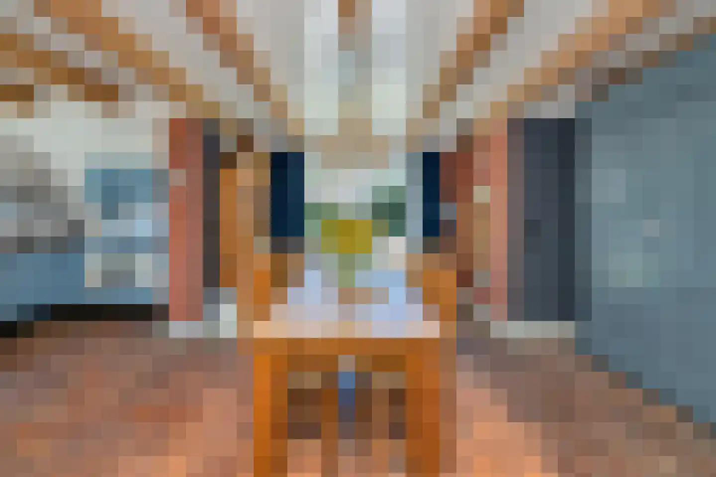 't Skoar 38 Ternaard foto 3