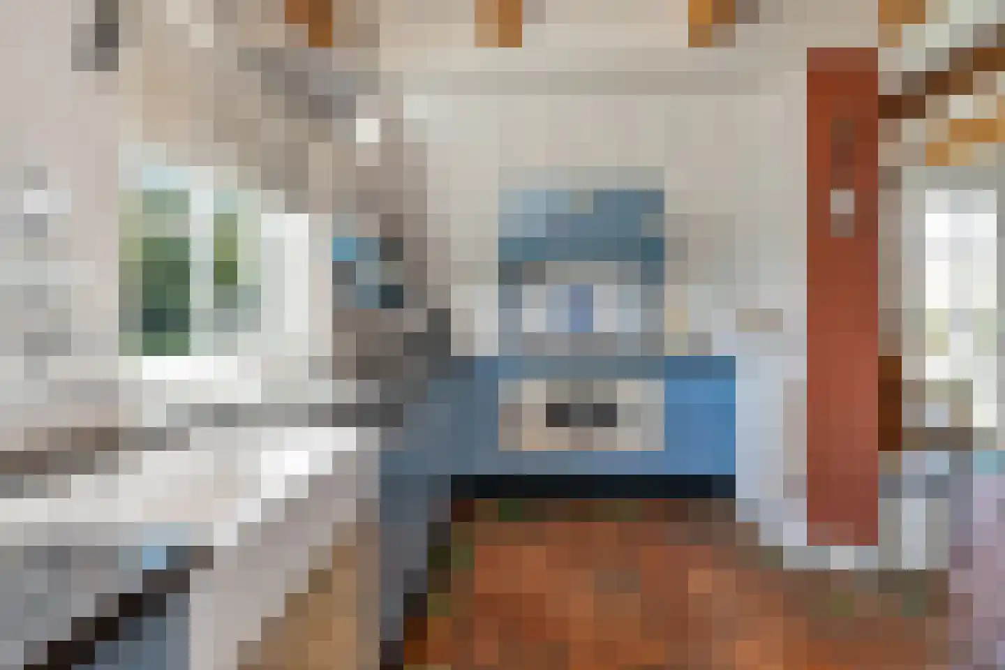 't Skoar 38 Ternaard thumbnail 30
