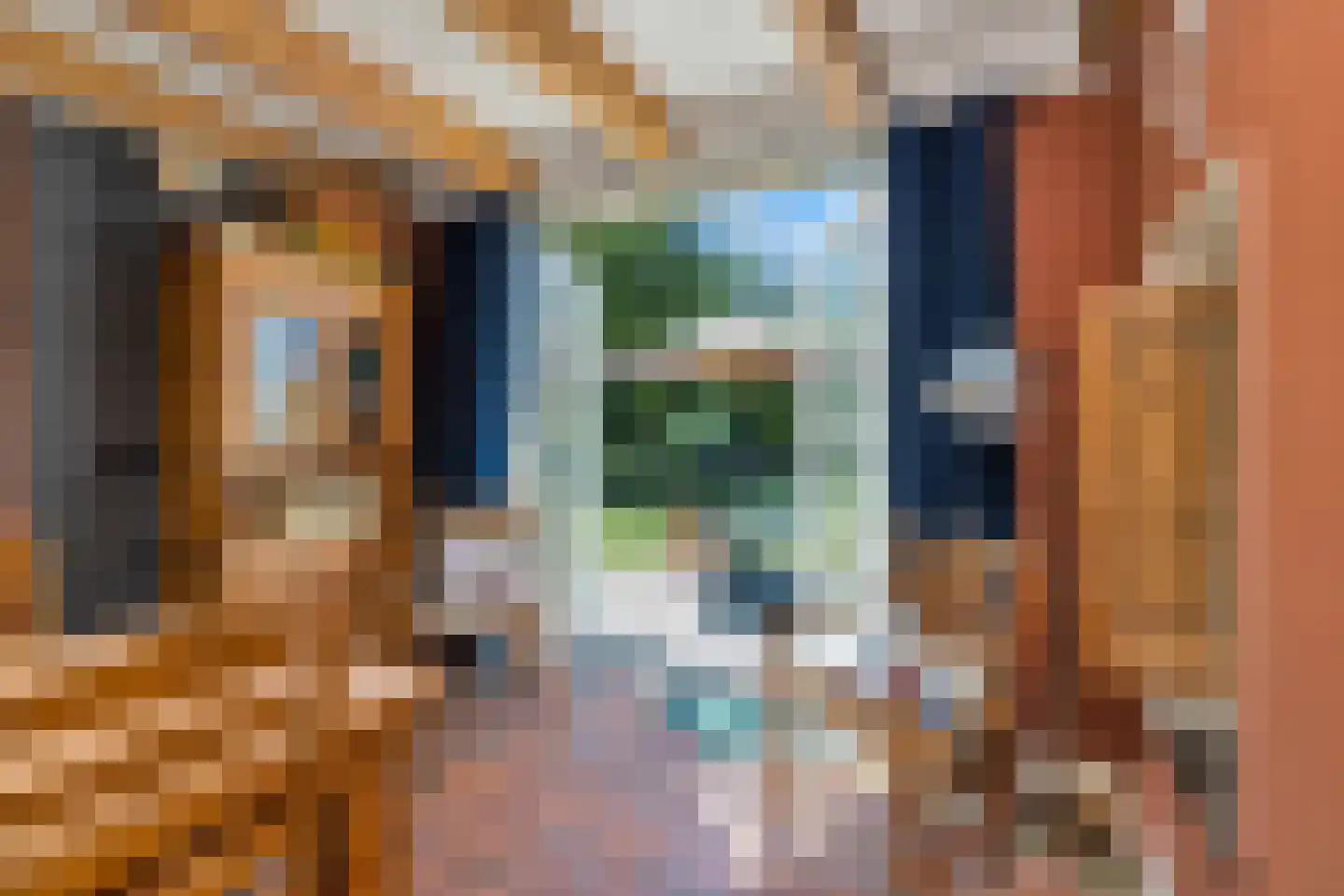 't Skoar 38 Ternaard thumbnail 33