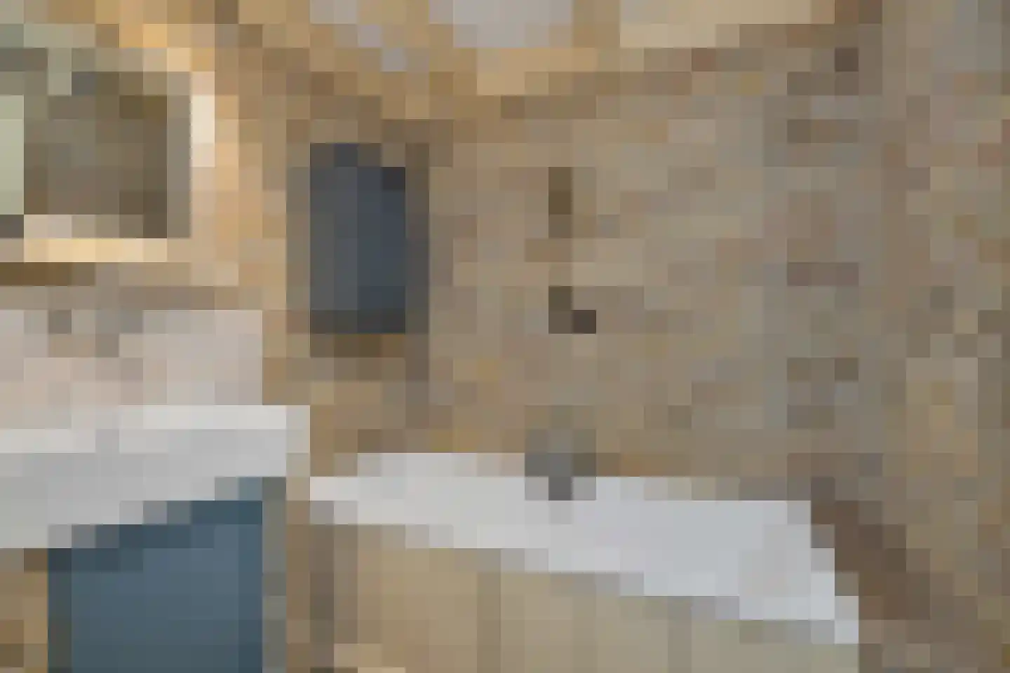 't Skoar 38 Ternaard thumbnail 34