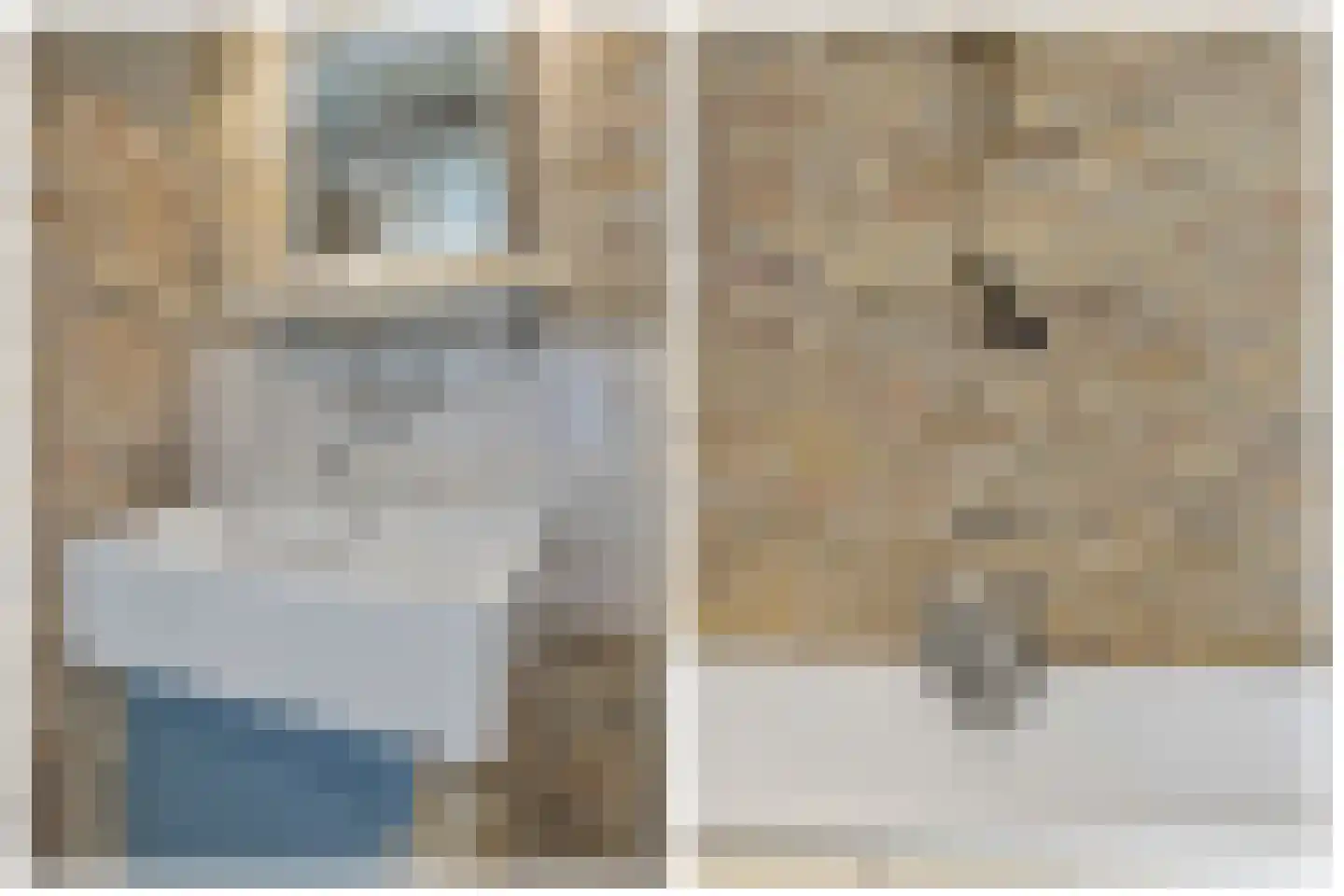 't Skoar 38 Ternaard thumbnail 36