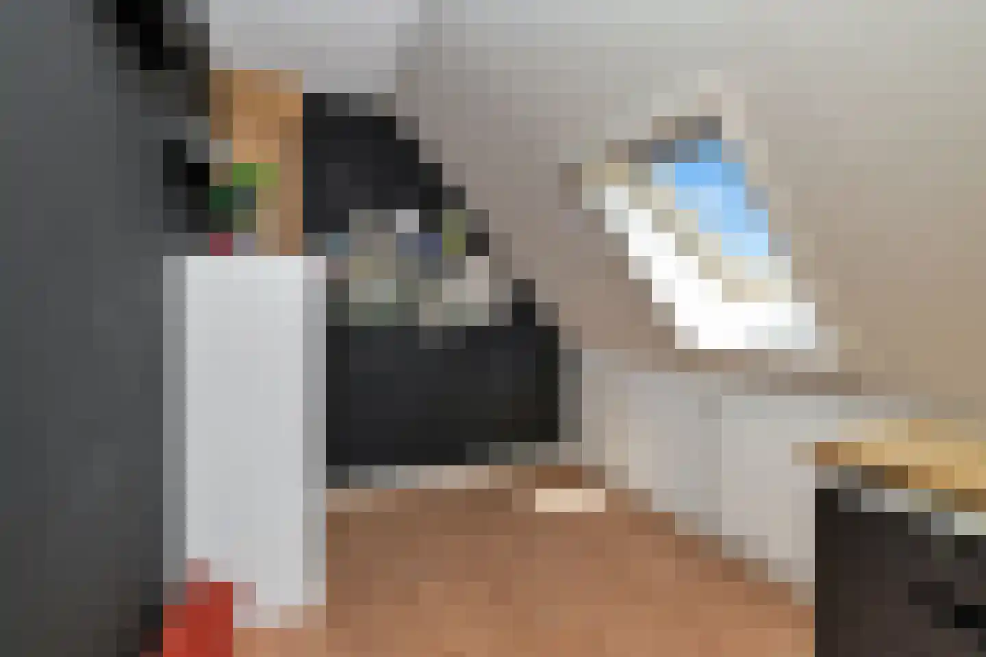 't Skoar 38 Ternaard thumbnail 42
