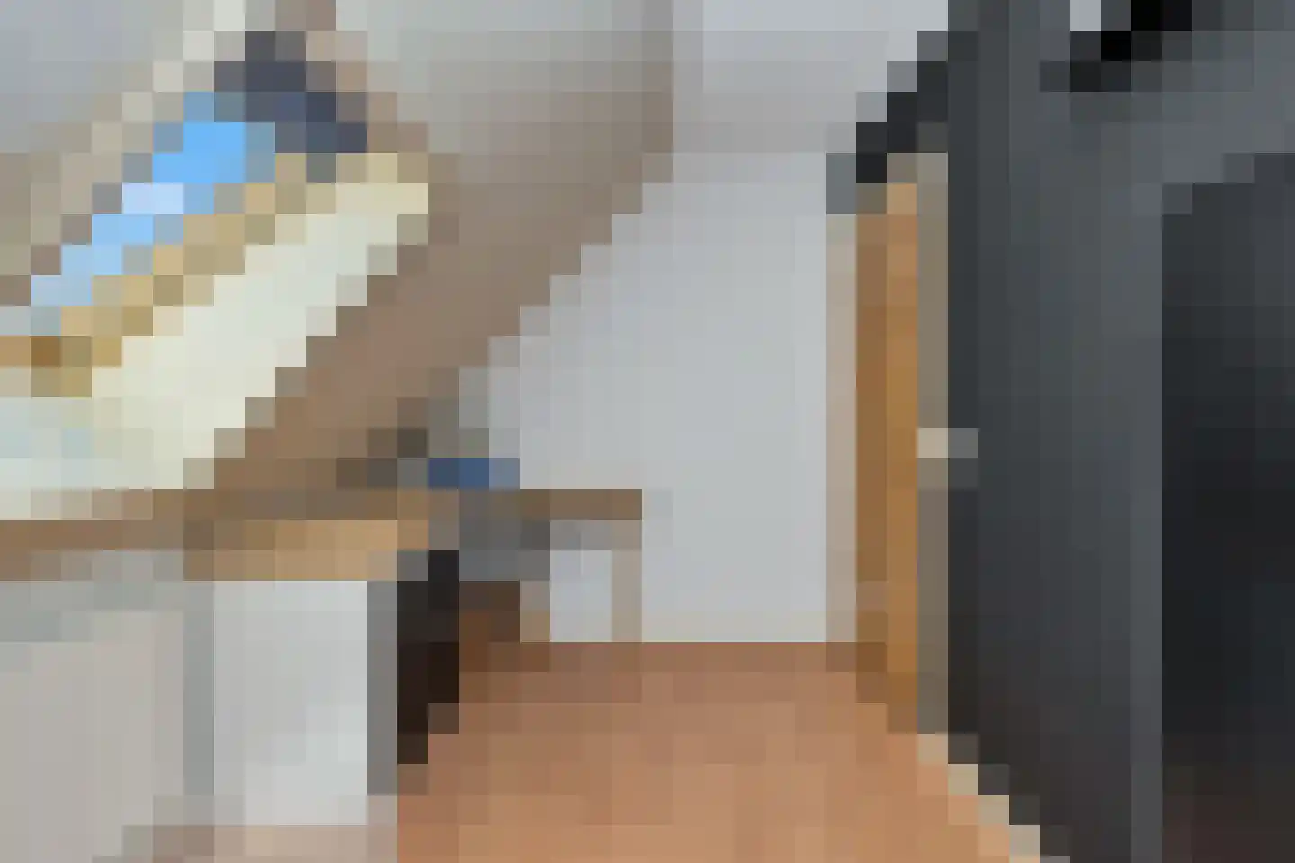 't Skoar 38 Ternaard thumbnail 43