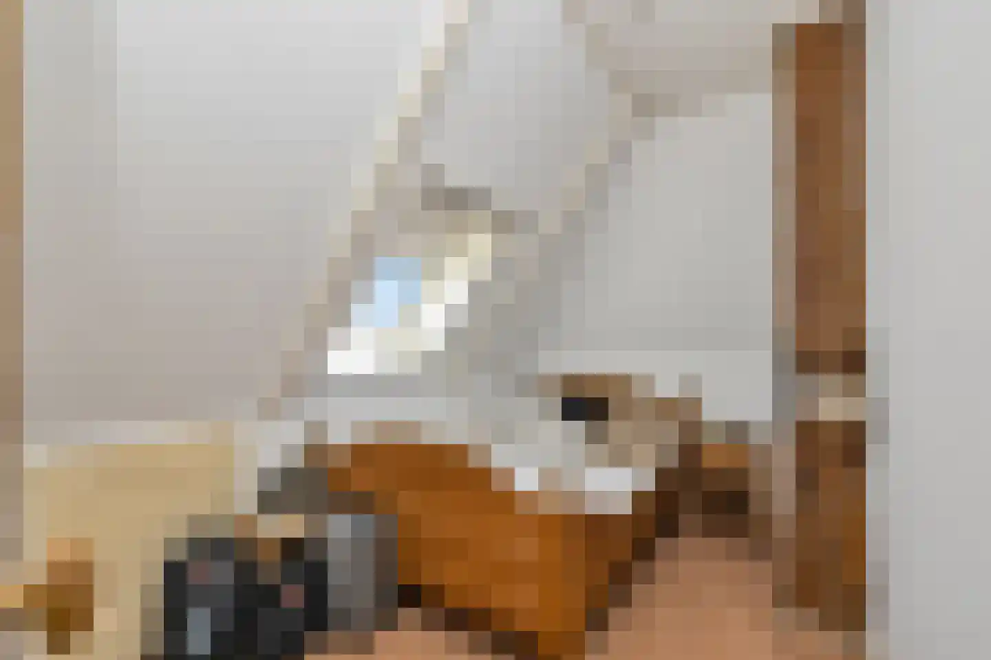 't Skoar 38 Ternaard thumbnail 44