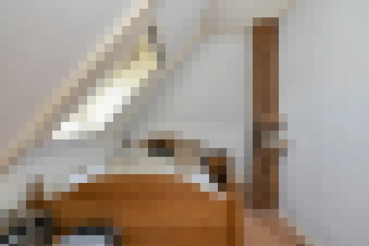 't Skoar 38 Ternaard thumbnail 45