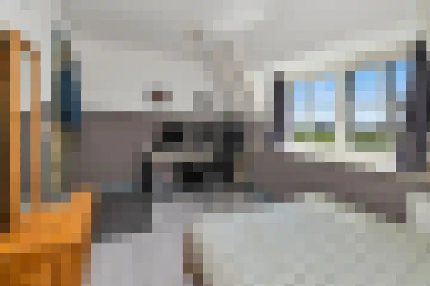 't Skoar 38 Ternaard thumbnail 48