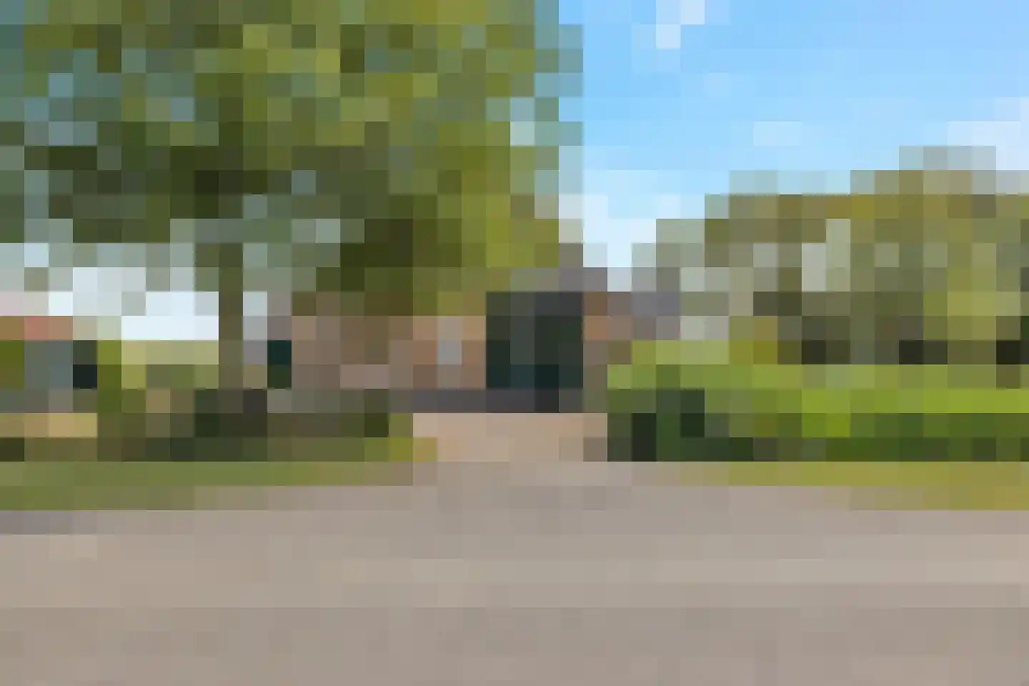 't Skoar 38 Ternaard thumbnail 5