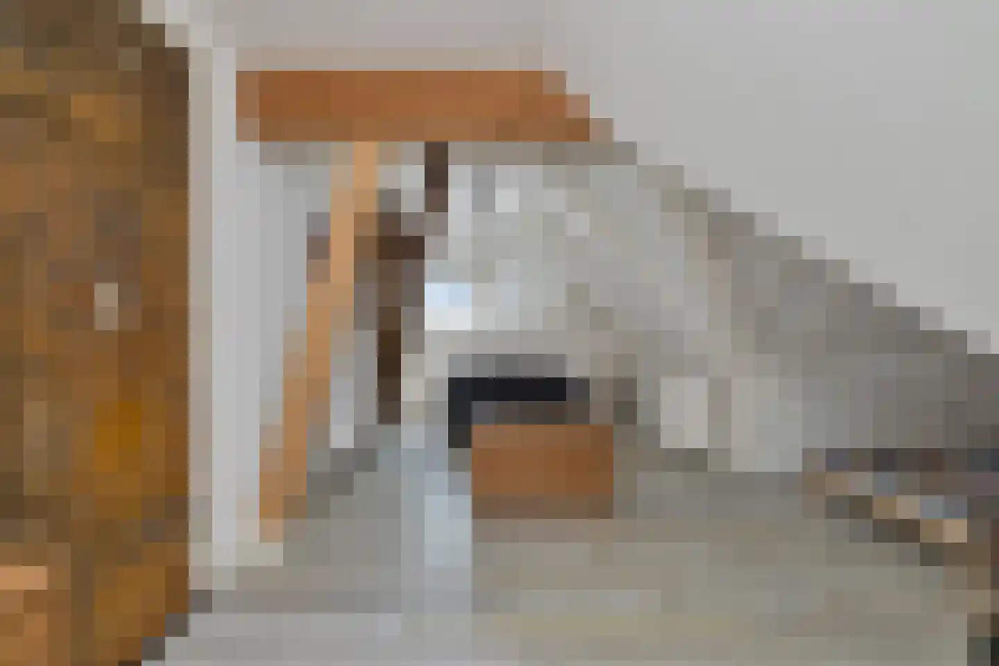 't Skoar 38 Ternaard thumbnail 50