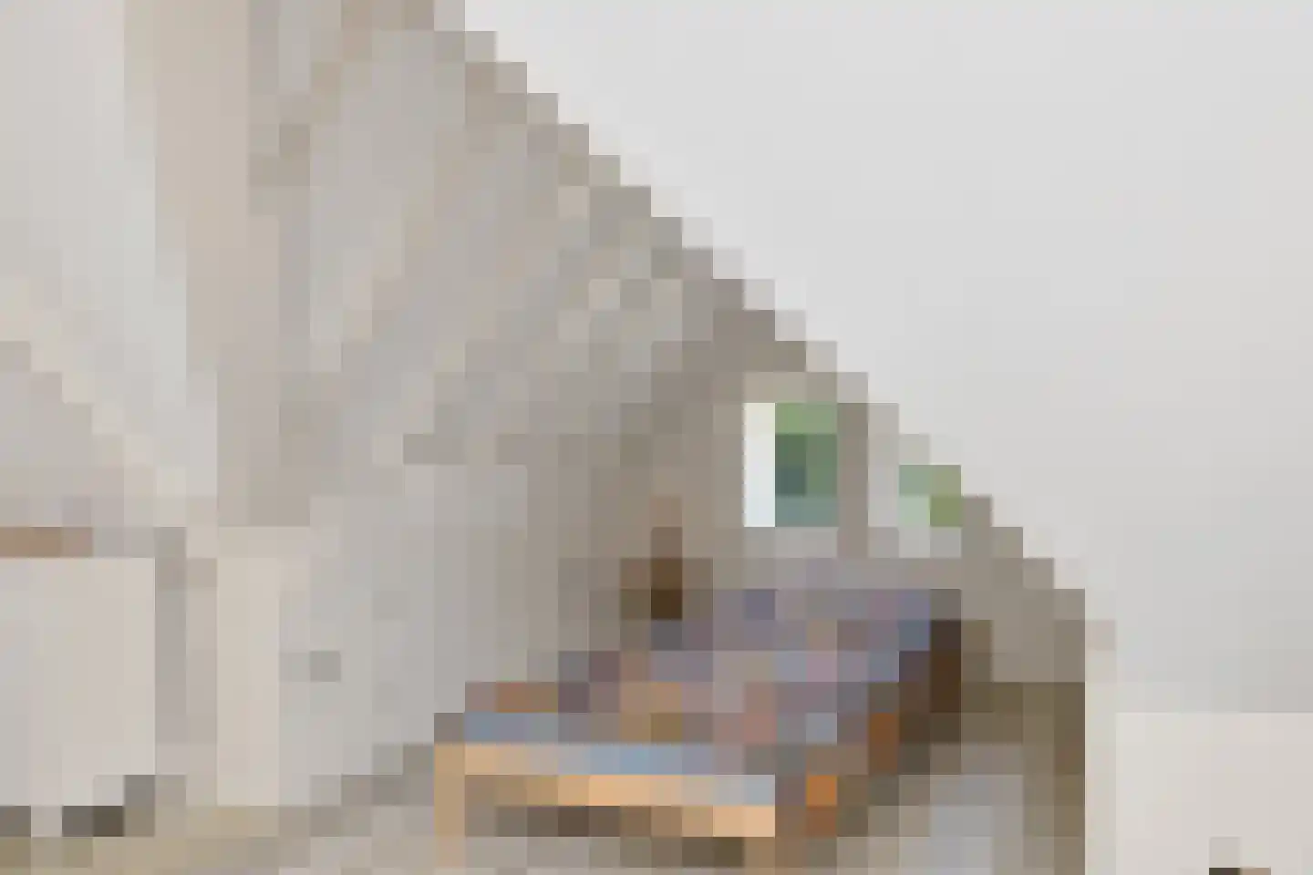 't Skoar 38 Ternaard thumbnail 51