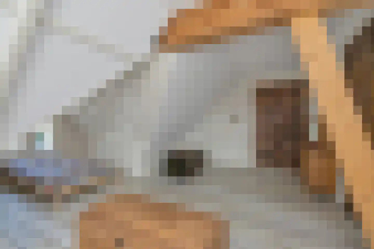 't Skoar 38 Ternaard thumbnail 55