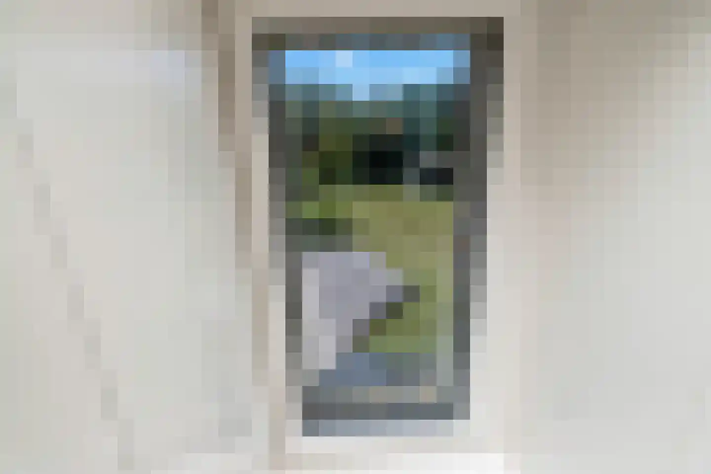 't Skoar 38 Ternaard thumbnail 56