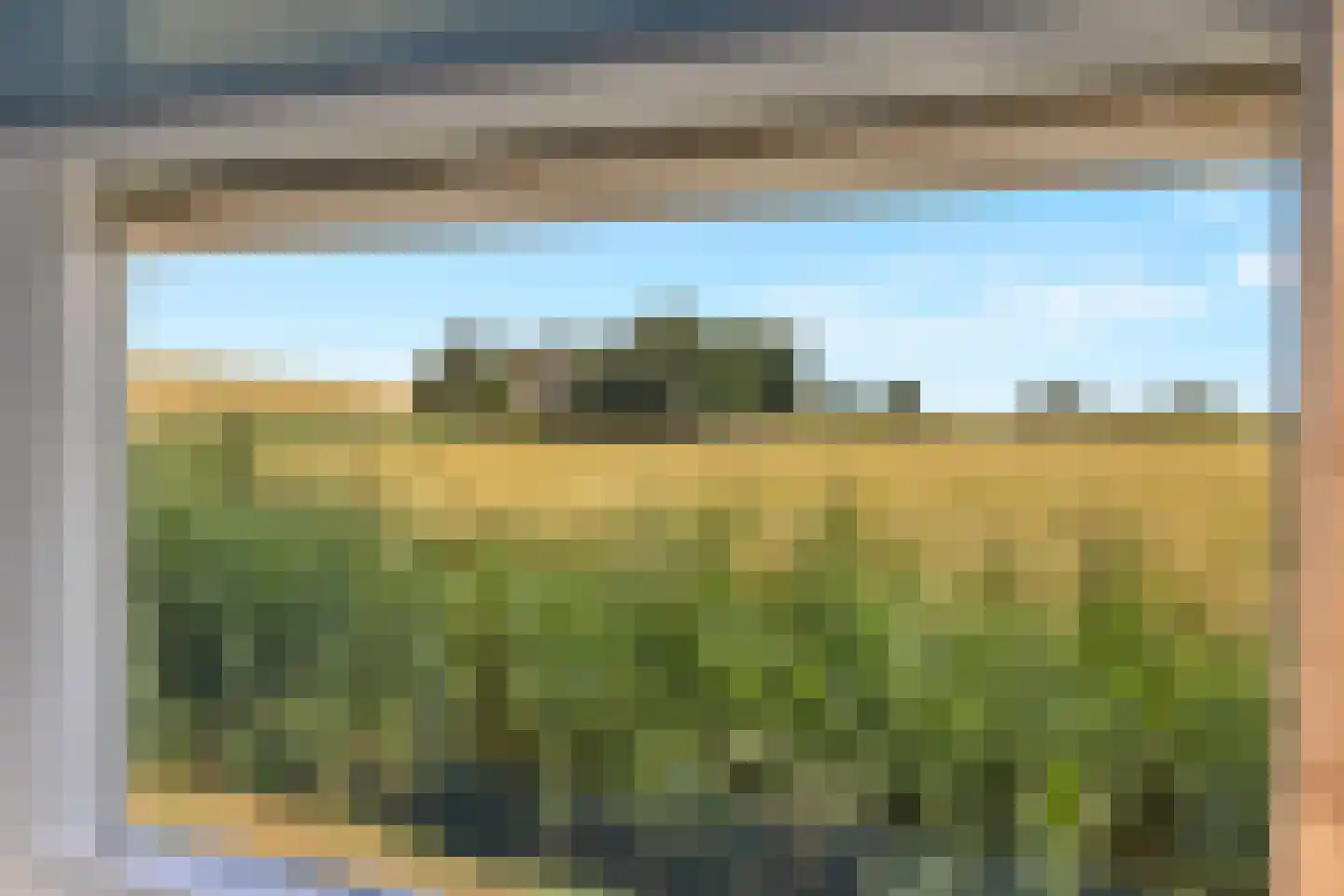 't Skoar 38 Ternaard thumbnail 61