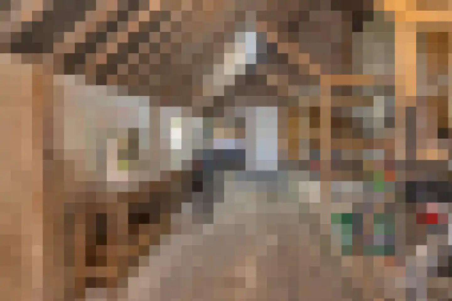 't Skoar 38 Ternaard thumbnail 63