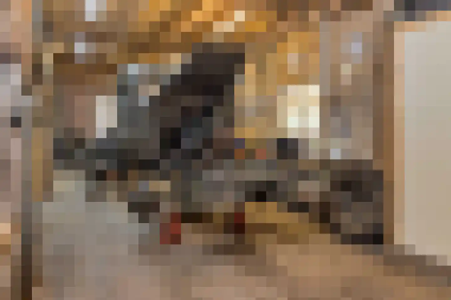 't Skoar 38 Ternaard thumbnail 64