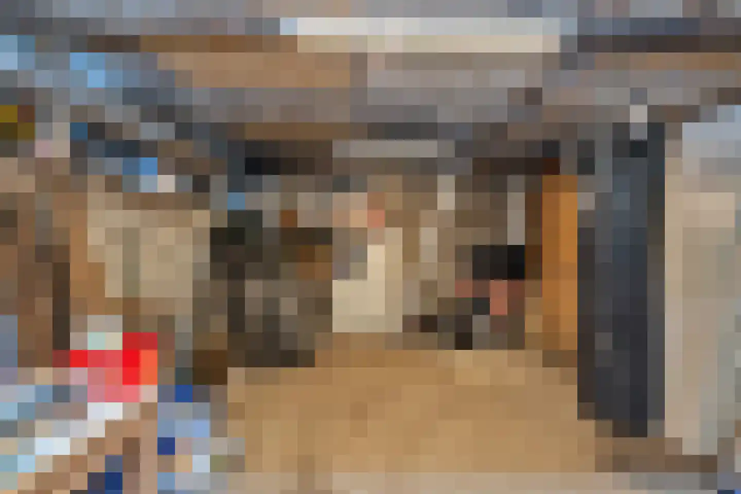't Skoar 38 Ternaard thumbnail 65