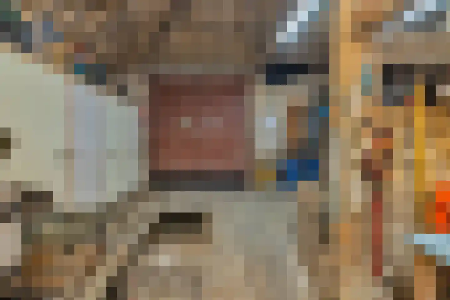 't Skoar 38 Ternaard thumbnail 68