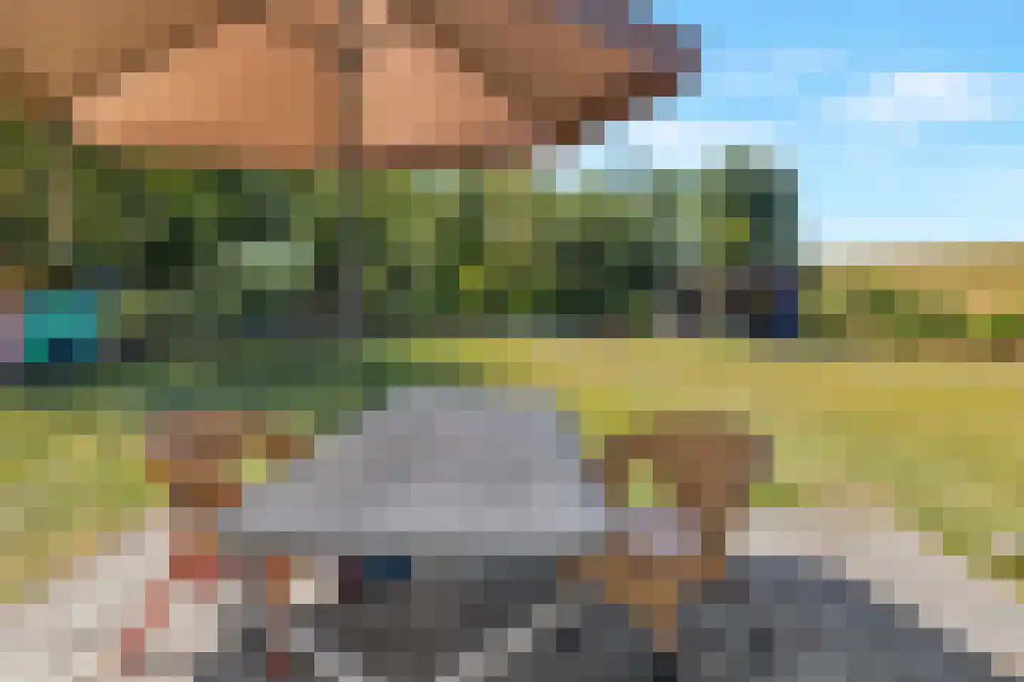 't Skoar 38 Ternaard thumbnail 69