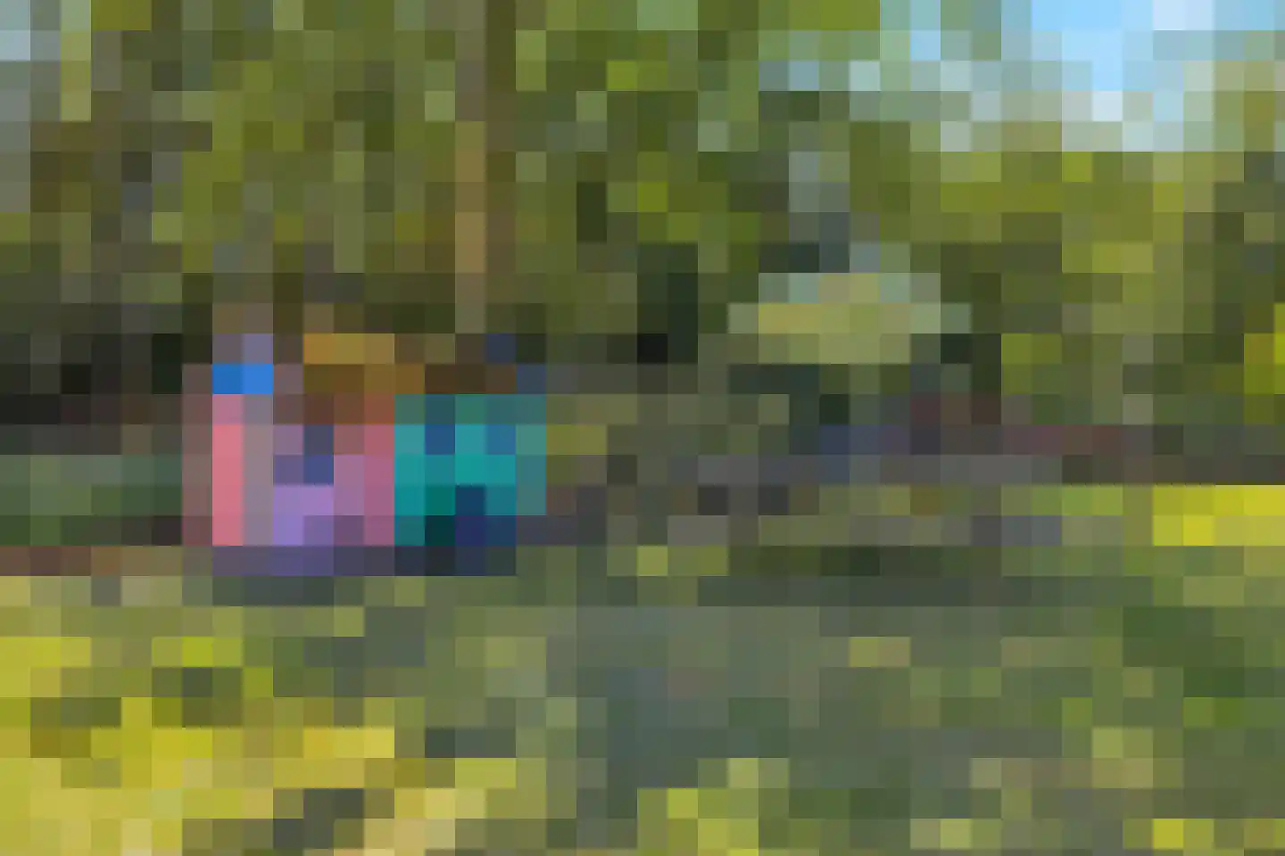 't Skoar 38 Ternaard thumbnail 70