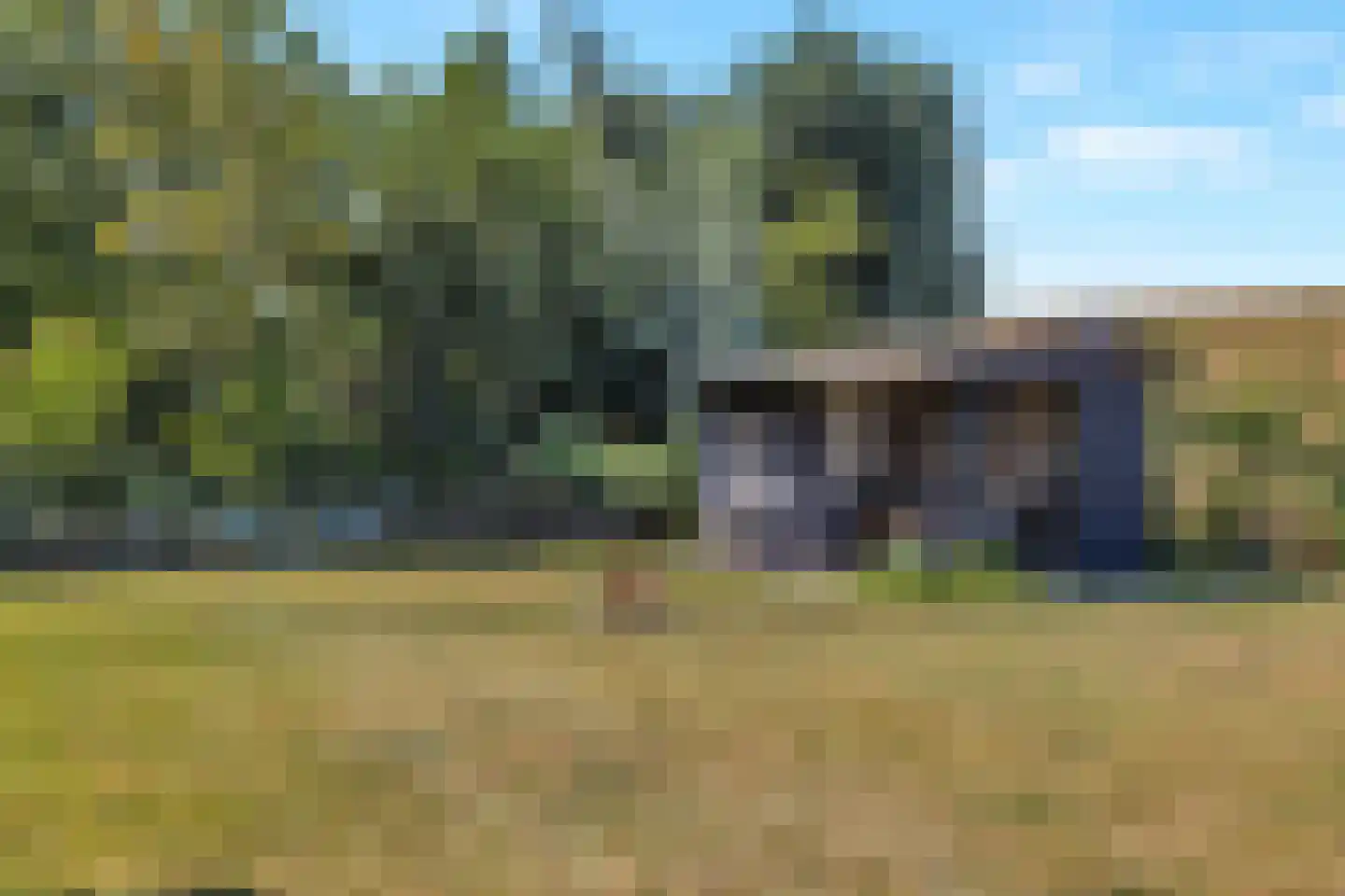 't Skoar 38 Ternaard thumbnail 71