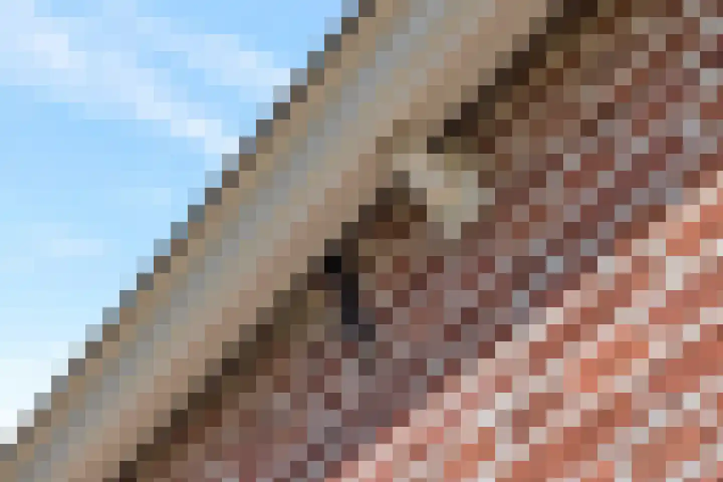 't Skoar 38 Ternaard thumbnail 75
