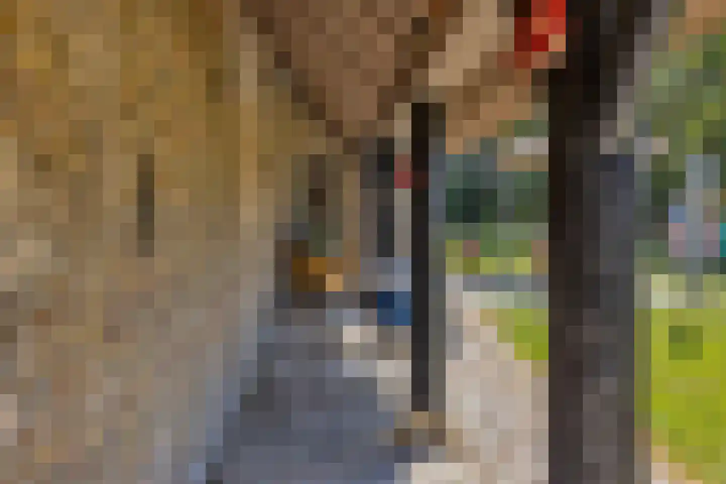 't Skoar 38 Ternaard thumbnail 77