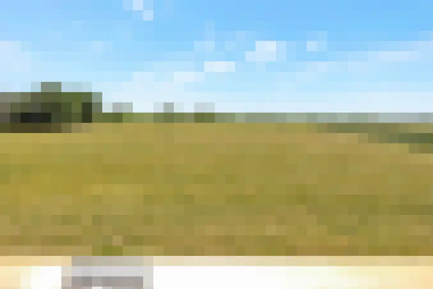 't Skoar 38 Ternaard thumbnail 79
