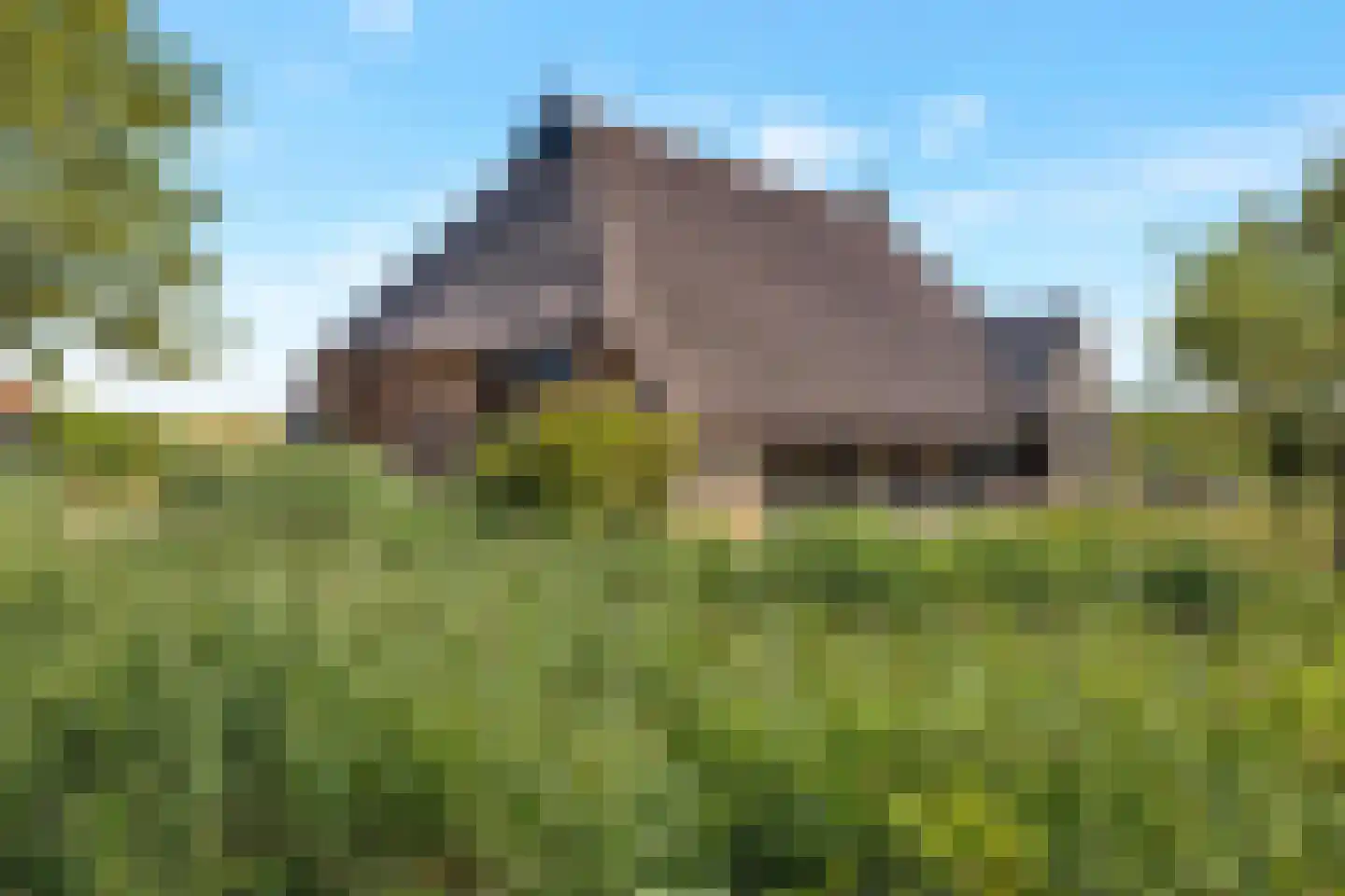 't Skoar 38 Ternaard thumbnail 8