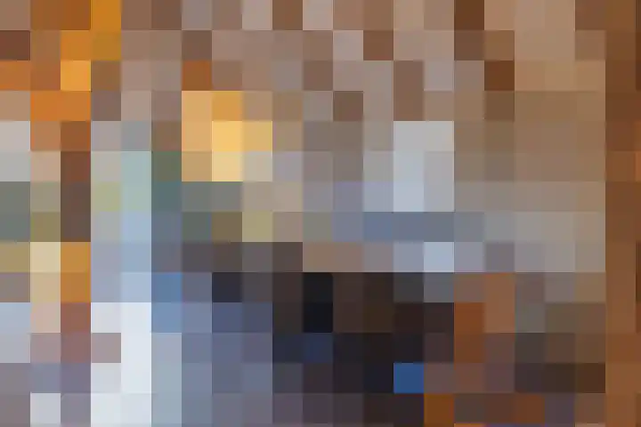 't Skottepâd 9 Ballum thumbnail 11
