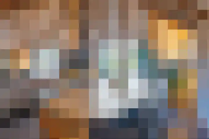't Skottepâd 9 Ballum thumbnail 12