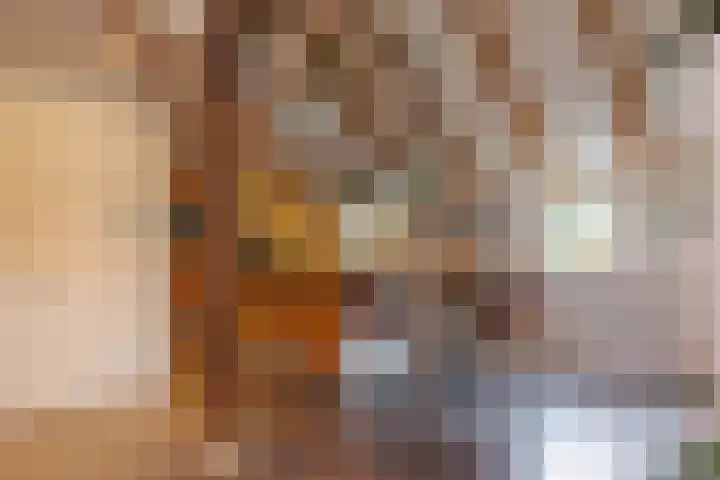 't Skottepâd 9 Ballum thumbnail 13