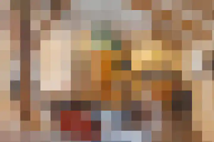 't Skottepâd 9 Ballum thumbnail 14