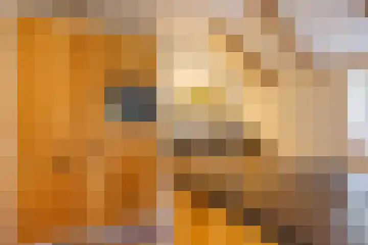 't Skottepâd 9 Ballum thumbnail 16