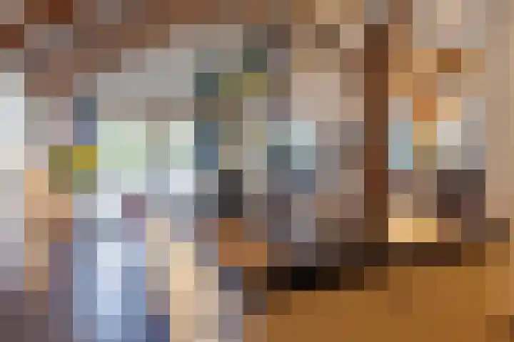 't Skottepâd 9 Ballum thumbnail 17