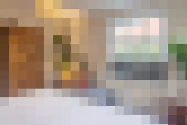 't Skottepâd 9 Ballum thumbnail 24