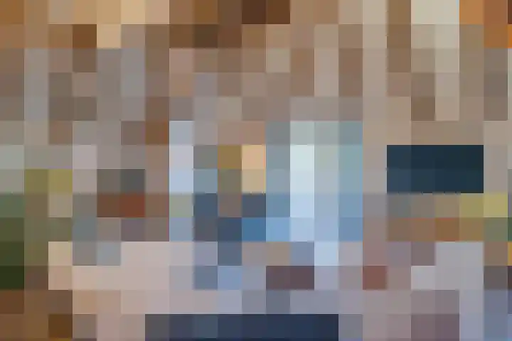 't Skottepâd 9 Ballum foto 3