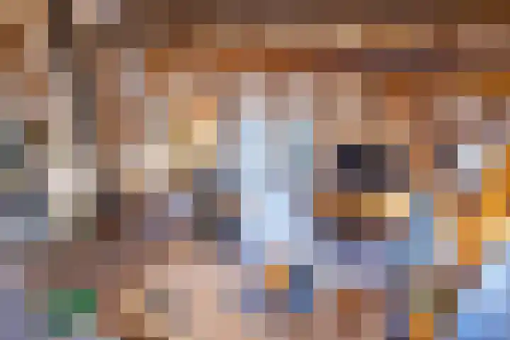 't Skottepâd 9 Ballum thumbnail 35