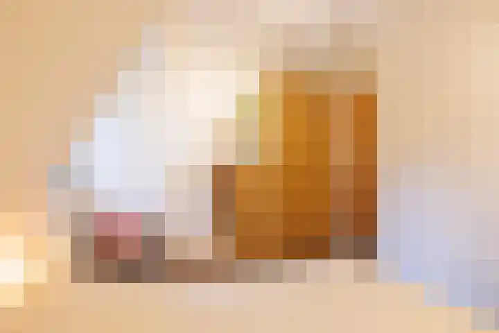 't Skottepâd 9 Ballum thumbnail 38