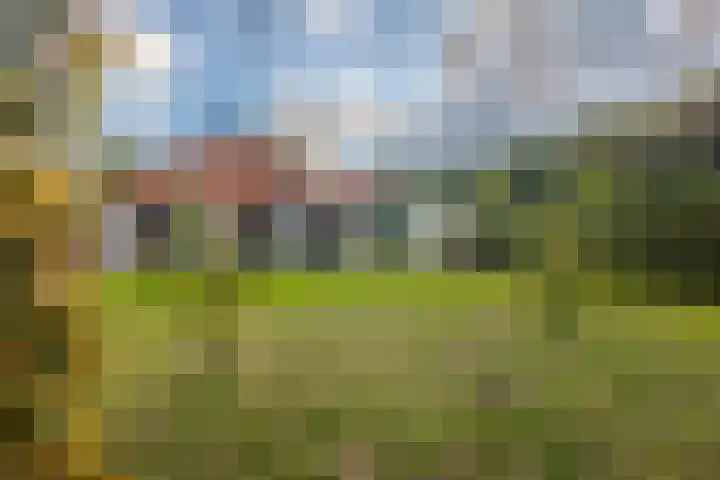 't Skottepâd 9 Ballum thumbnail 47