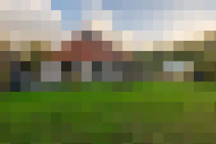 't Skottepâd 9 Ballum thumbnail 49