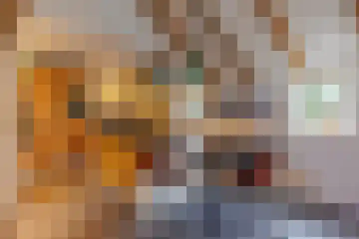 't Skottepâd 9 Ballum thumbnail 5