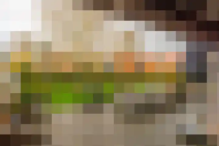 't Skottepâd 9 Ballum thumbnail 50