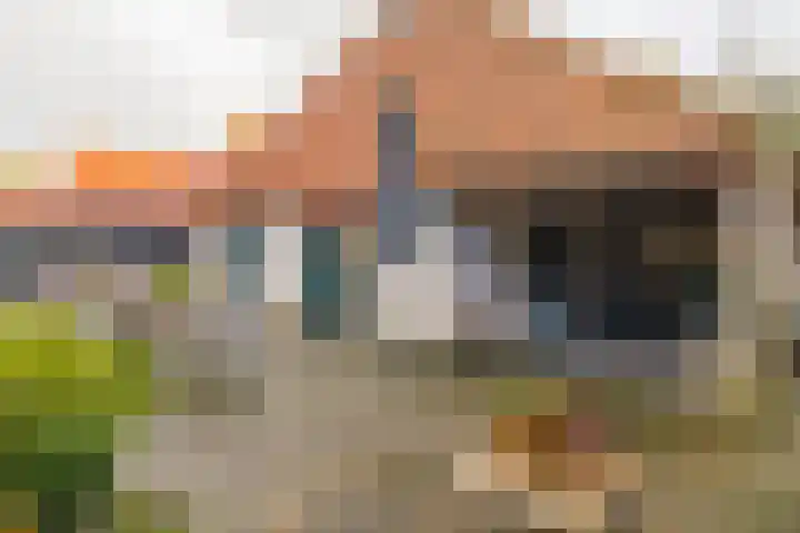 't Skottepâd 9 Ballum thumbnail 51