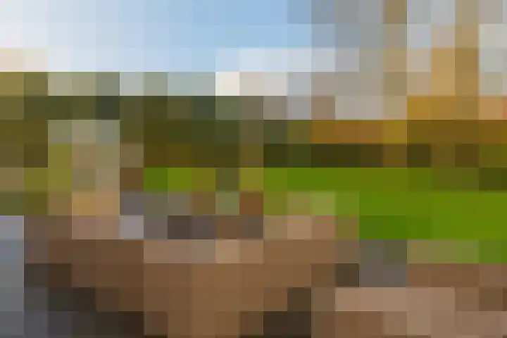 't Skottepâd 9 Ballum thumbnail 52