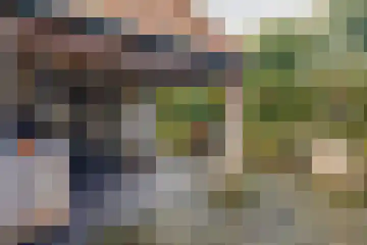 't Skottepâd 9 Ballum thumbnail 53