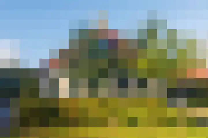 't Skottepâd 9 Ballum thumbnail 55